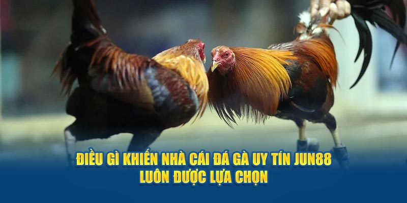 Jun88 - Nhà Cái Đá Gà Uy Tín, Chất Lượng Top 1 Việt Nam 2024 3 Điều gì khiến nhà cái đá gà uy tín Jun88 luôn được lựa chọn